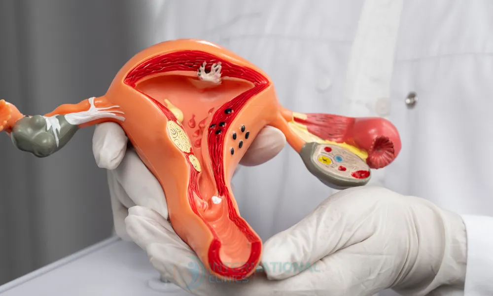 عمليات تجميل المهبل في تركيا