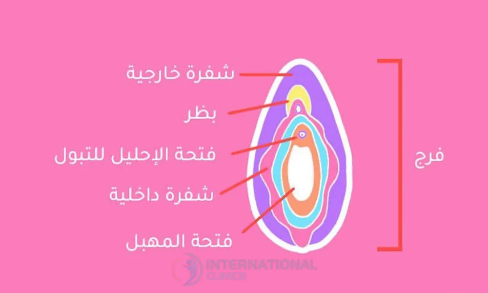 عمليات تجميل المهبل في تركيا