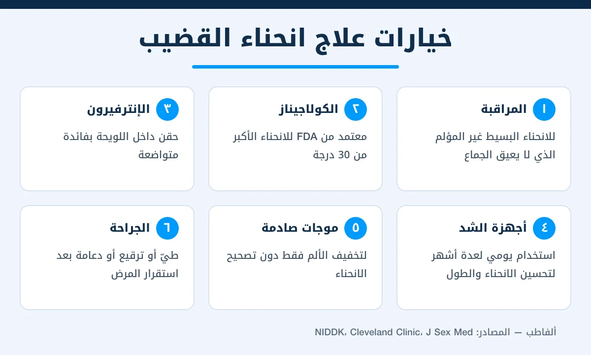 إنفوجرافيك يلخص ستة خيارات لعلاج انحناء القضيب من المراقبة والحقن إلى أجهزة الشد والجراحة