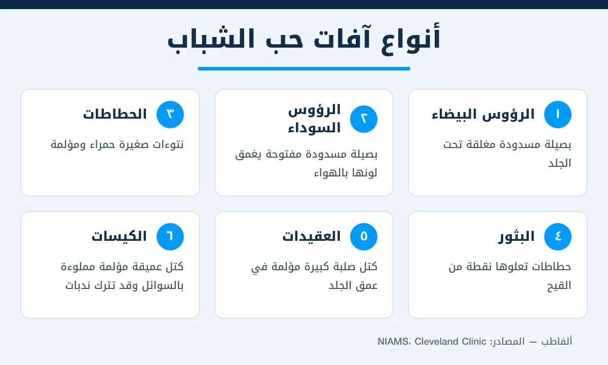 إنفوجرافيك أنواع آفات حب الشباب: الرؤوس البيضاء والسوداء والحطاطات والبثور والعقيدات والكيسات