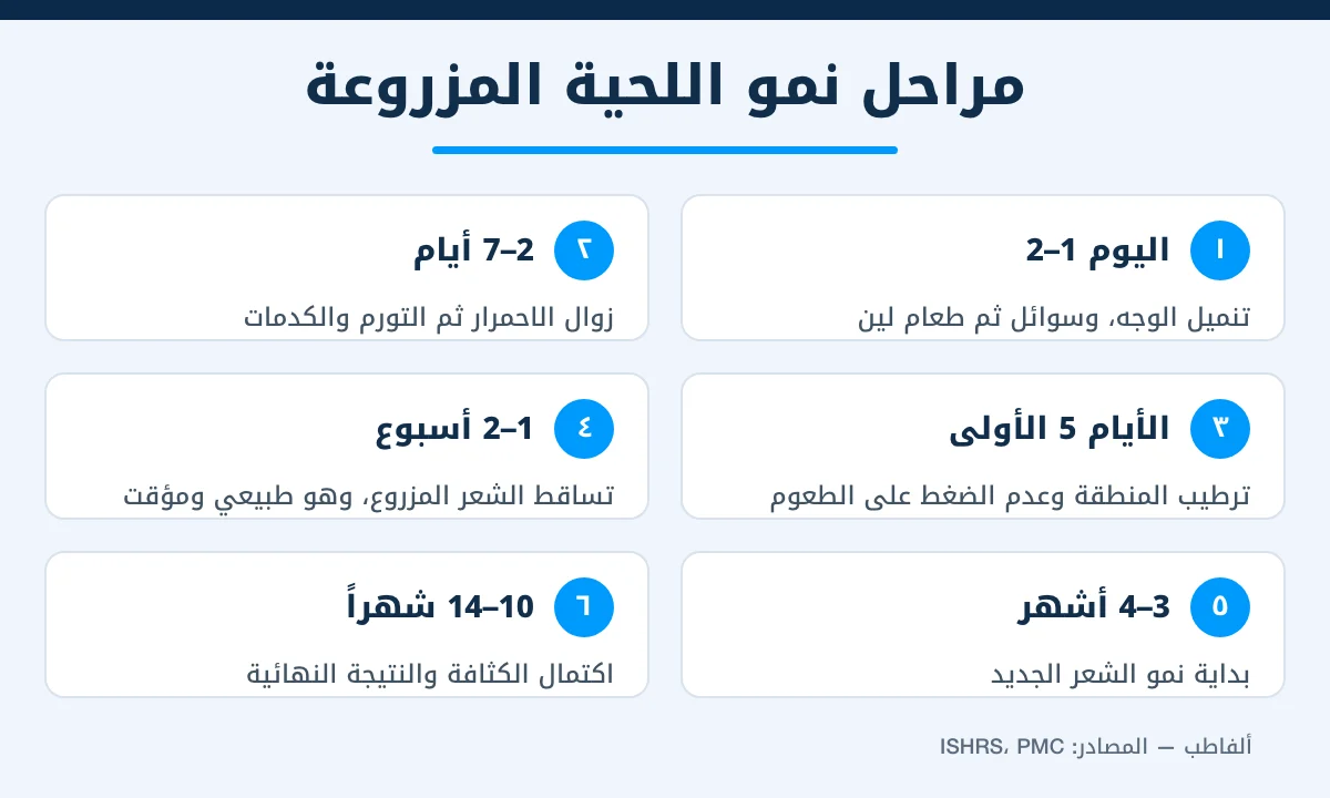 إنفوجرافيك يوضح مراحل التعافي ونمو الشعر بعد زراعة اللحية من يوم العملية حتى اكتمال النتيجة