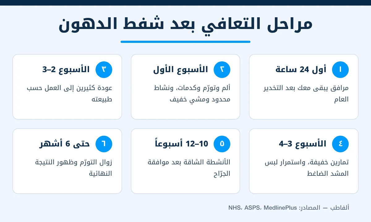 إنفوغرافيك مراحل التعافي بعد عملية شفط الدهون من اليوم الأول حتى 6 أشهر