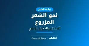نمو الشعر المزروع