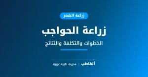 زراعة الحواجب